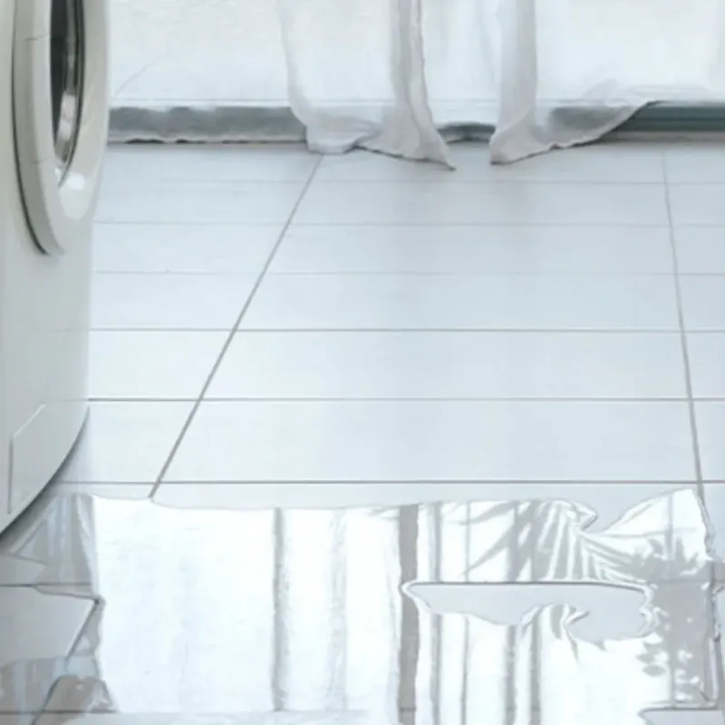 Appliance Leak Cleanup in Madisonville, TX