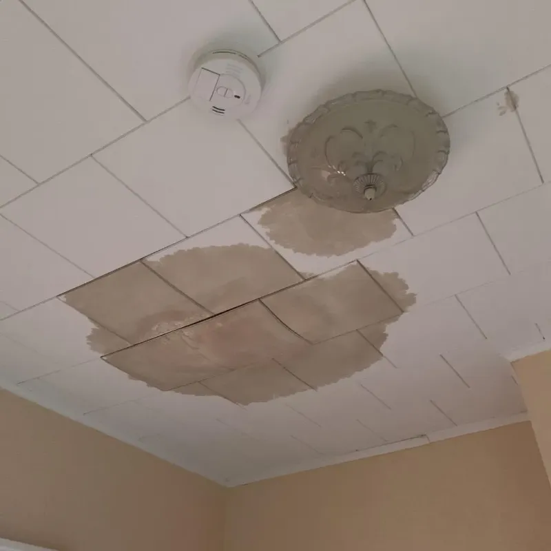 Ceiling Water Damage Repair in Madisonville, TX