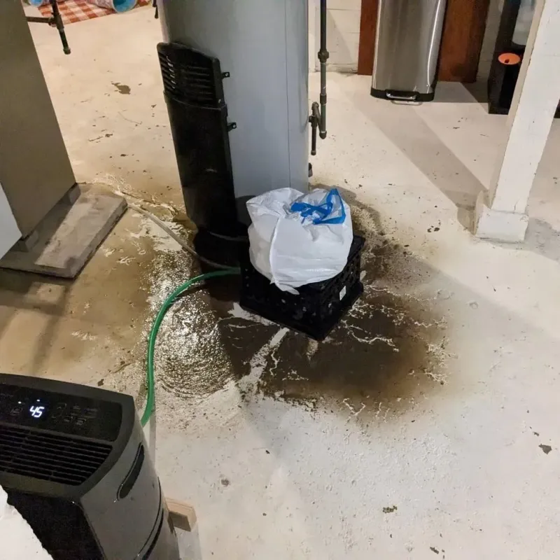 Sewage Backup Cleanup Service in Madisonville, TX